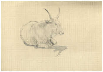 Visualizza l'immagine "FD Album 3, 18"